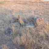 Alcántara 14: dolmen de Trincones II